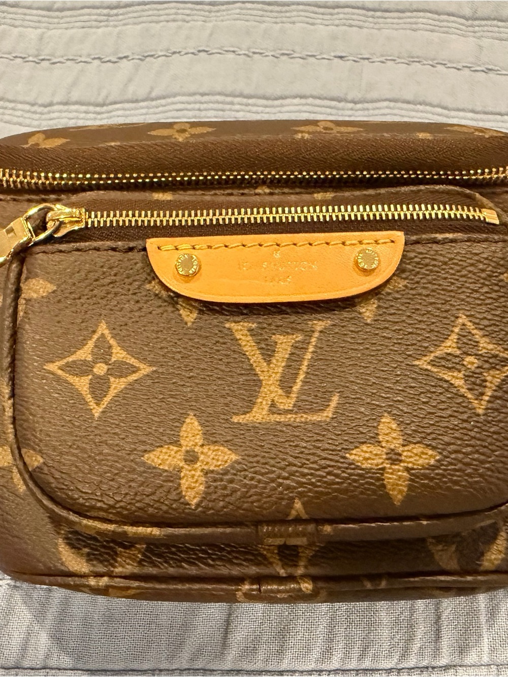 Louis Vuitton Monogram Mini Bumbag - Picture 12 of 13